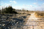 wasteland.jpg